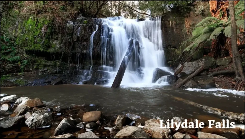 Lilydale Falls in Launceston