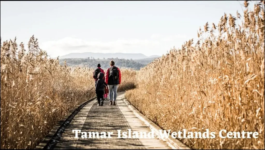 Tamar Island Wetlands Centre in Launceston